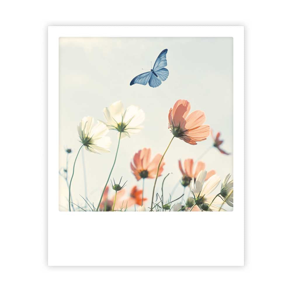 Photo Postkarte - Flower field butterfly
