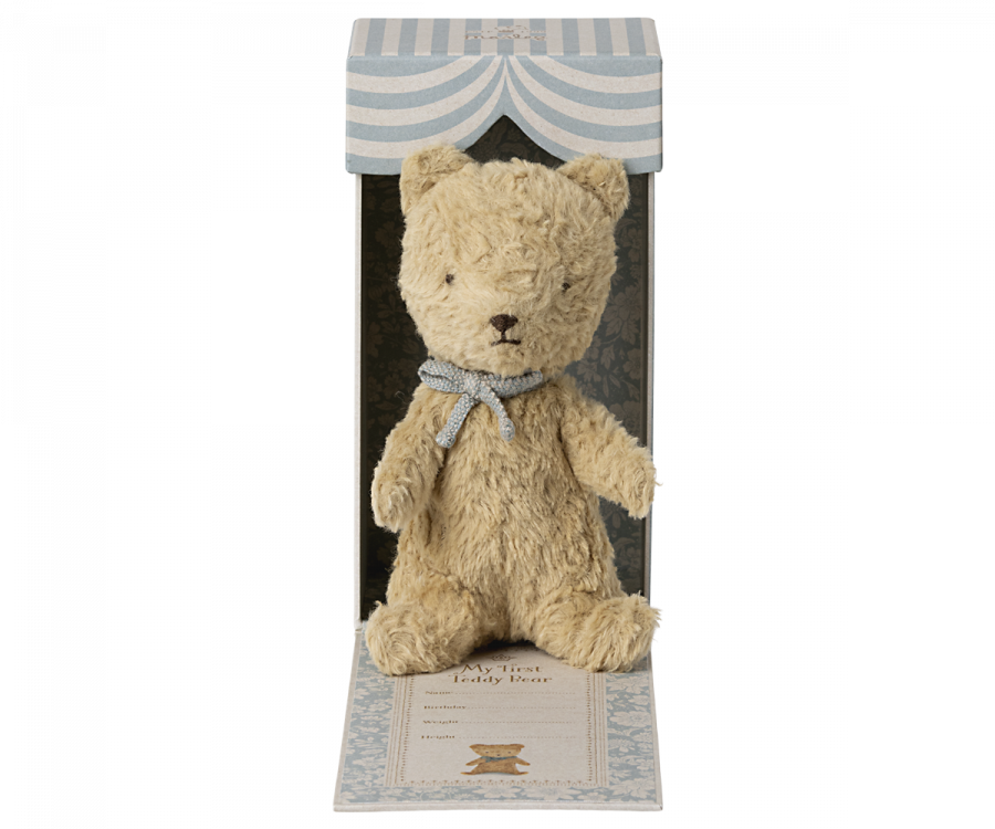 Mein erster Teddy Sand
