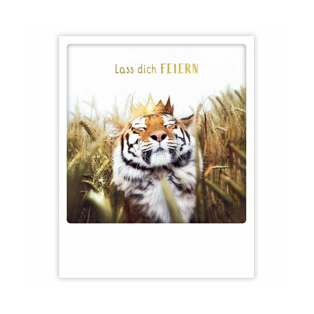 Photo Postkarte - Lass dich Feiern