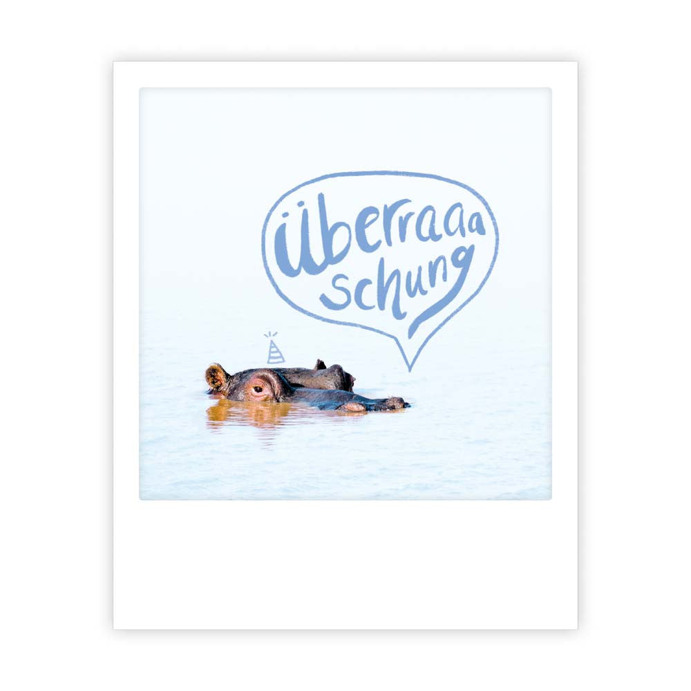 Photo Postkarte - Überraschung nilpferd