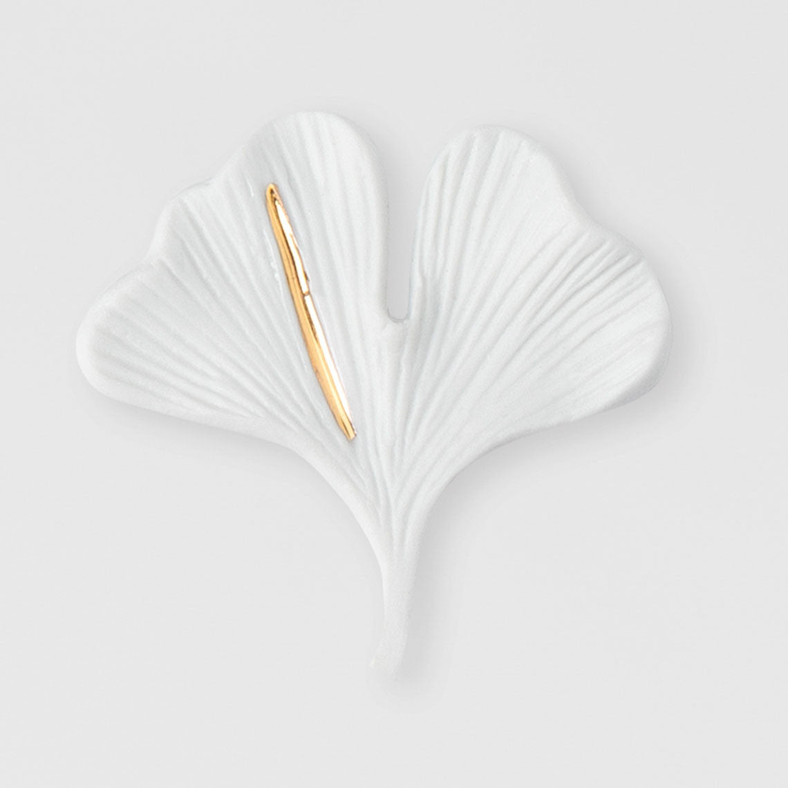 Glücksbringer Ginkgo