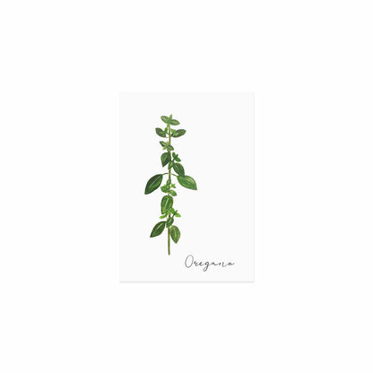 Postkarte Oregano