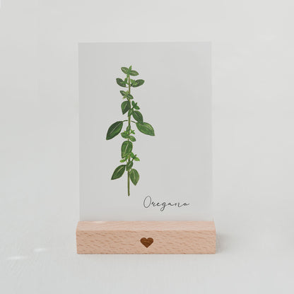 Postkarte Oregano