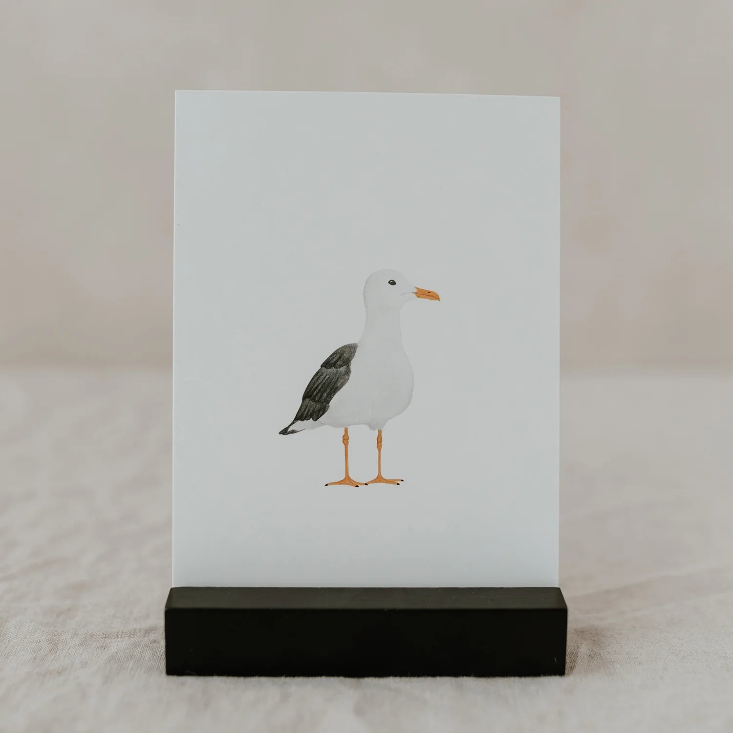 Postkarte Möwe